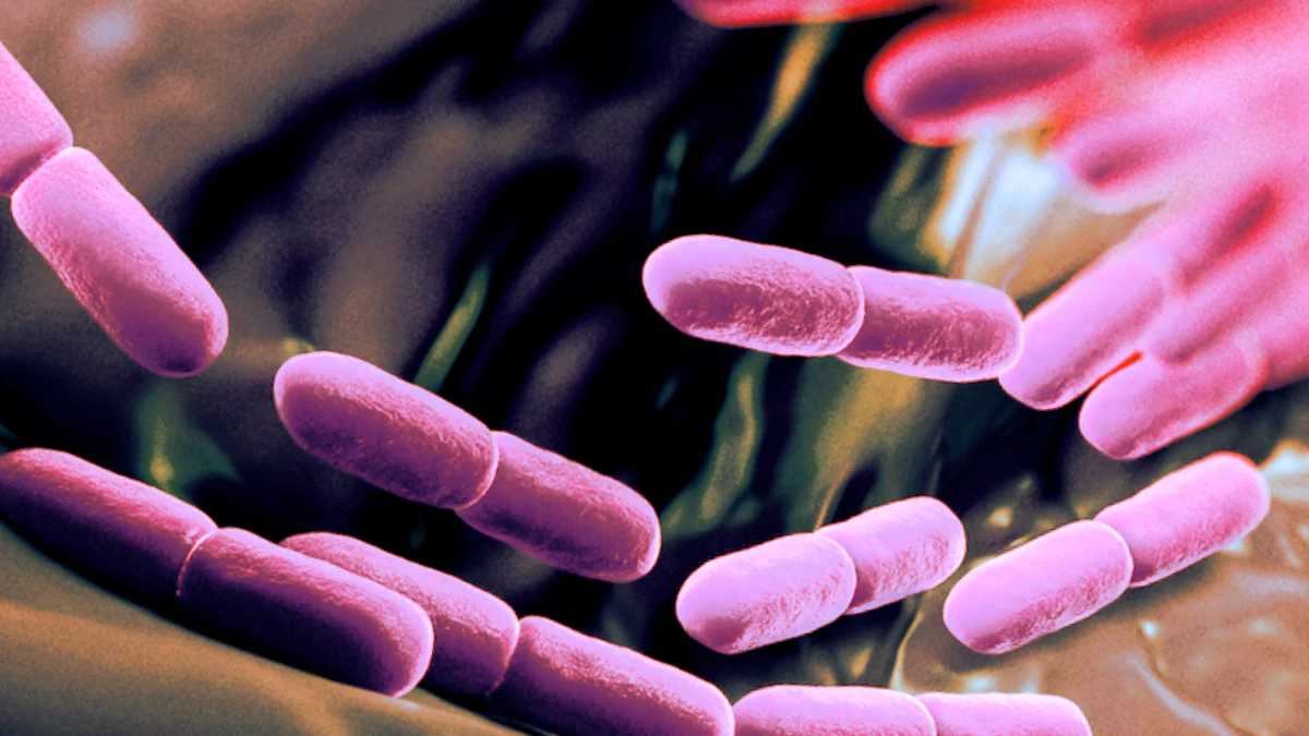 The Best Probiotics for Herpes: These Strains Help Prevent and Manage Outbreaks