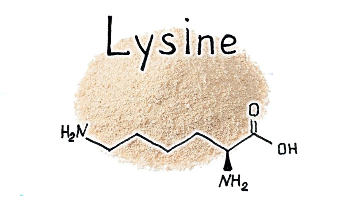 Best Type of L-Lysine to Use: Hydrochloride or Monochloride for Herpes?