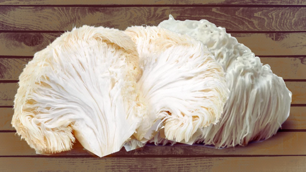 Lion's Mane Mushroom and Herpes: Immune Support and Potential Benefits