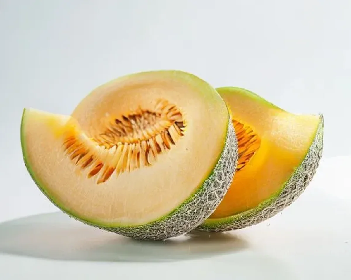 Cantaloupe