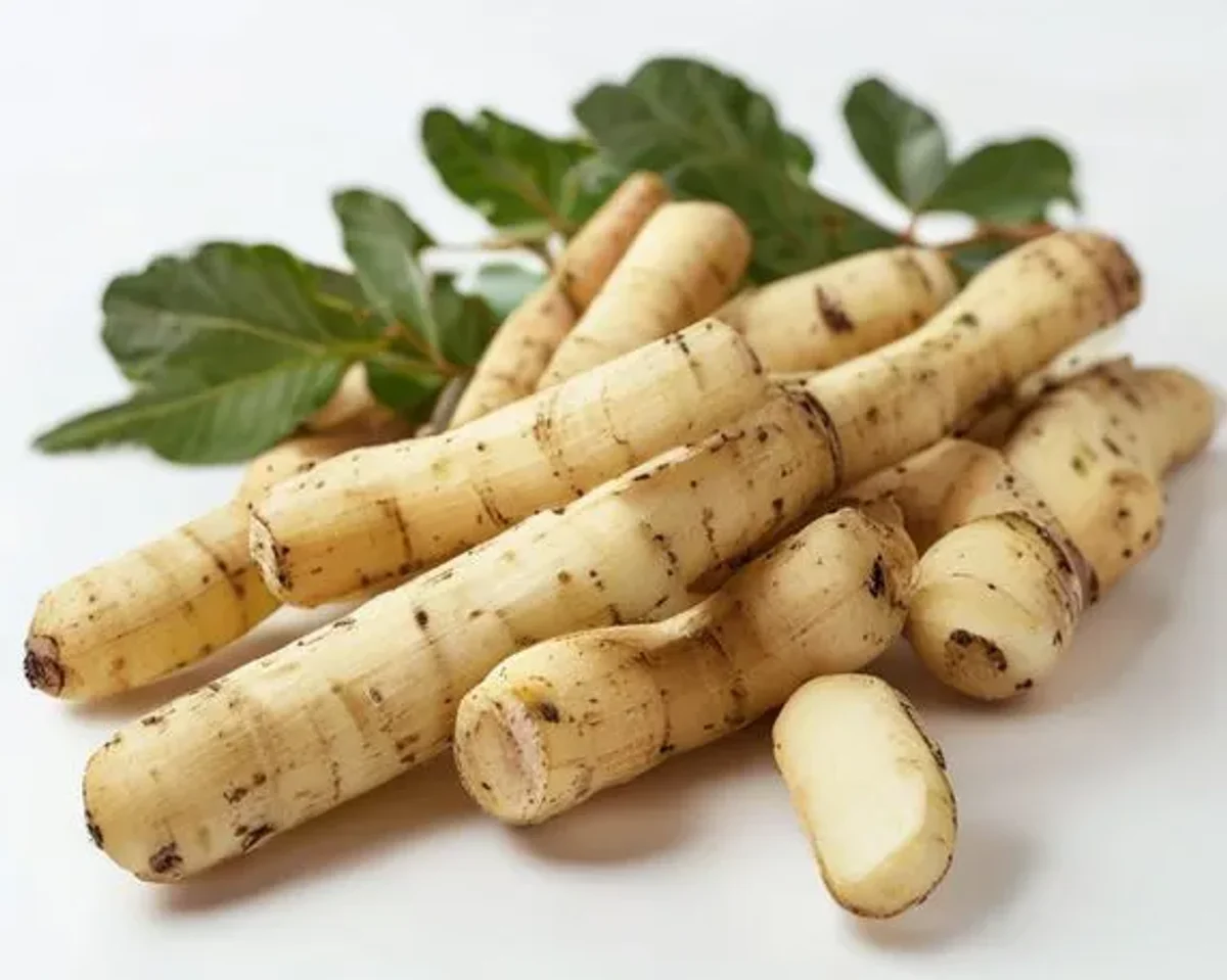 Cassava