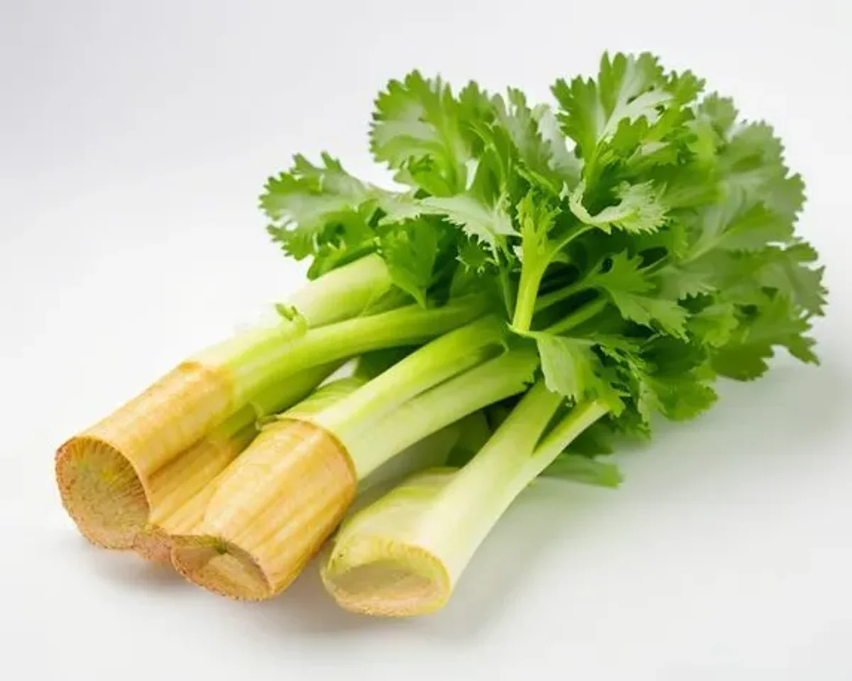 Celery