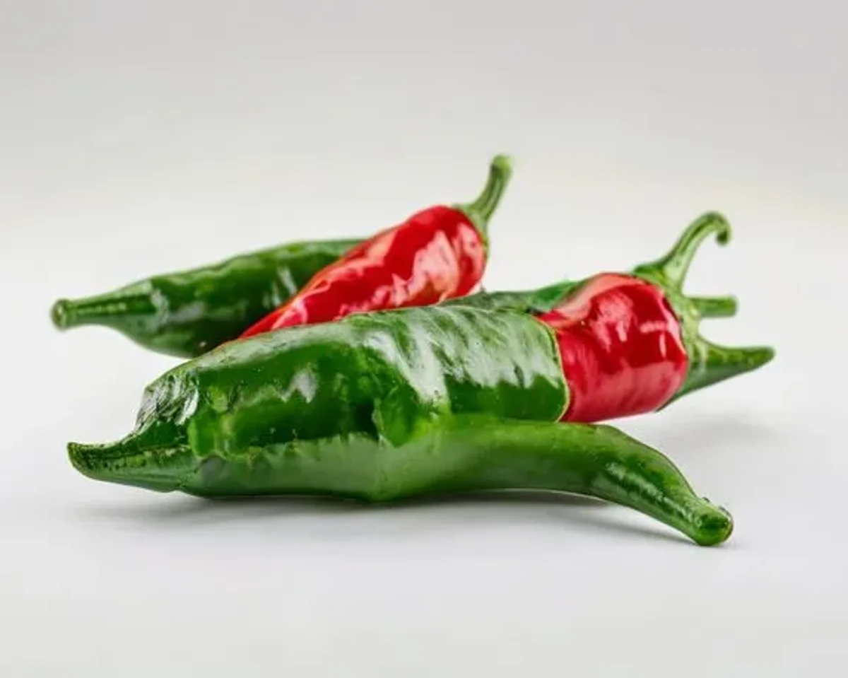 Jalapeño Peppers