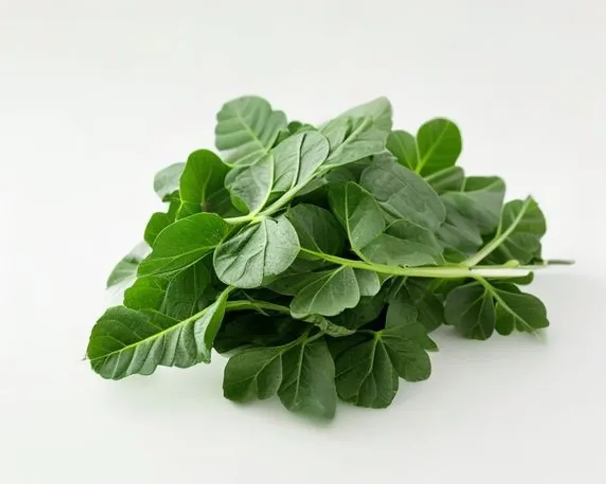 Moringa - 570mg lysine, 120mg arginine per 100g