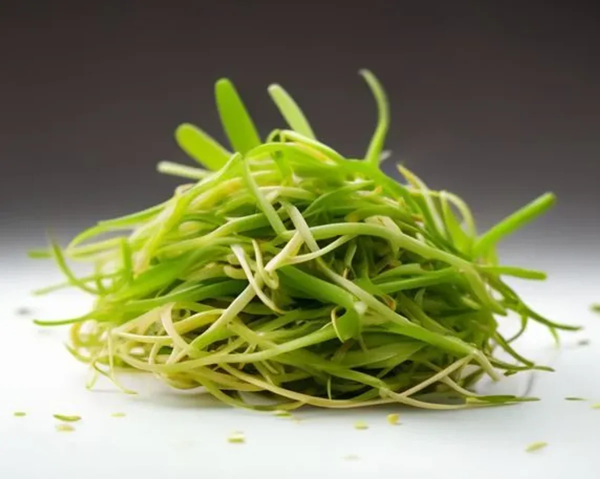 Mung Bean Sprouts