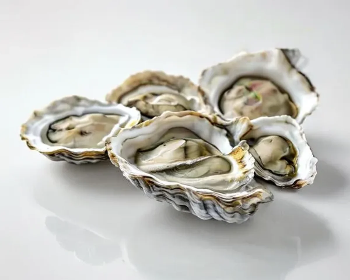 Oysters