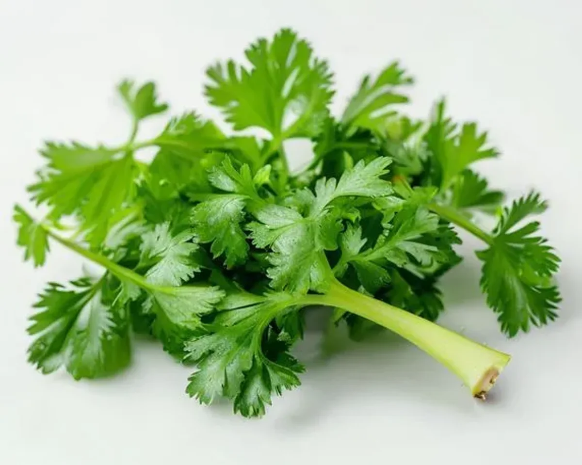 Parsley