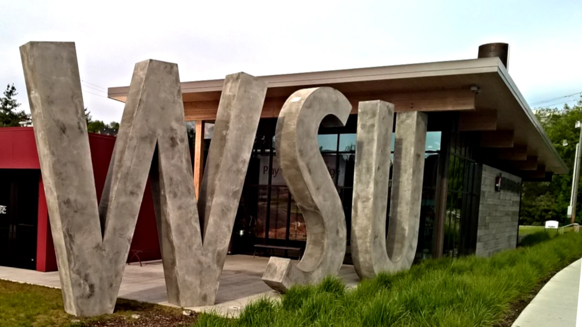 WSU Secures $1.2 Million Grant for Groundbreaking HSV Research