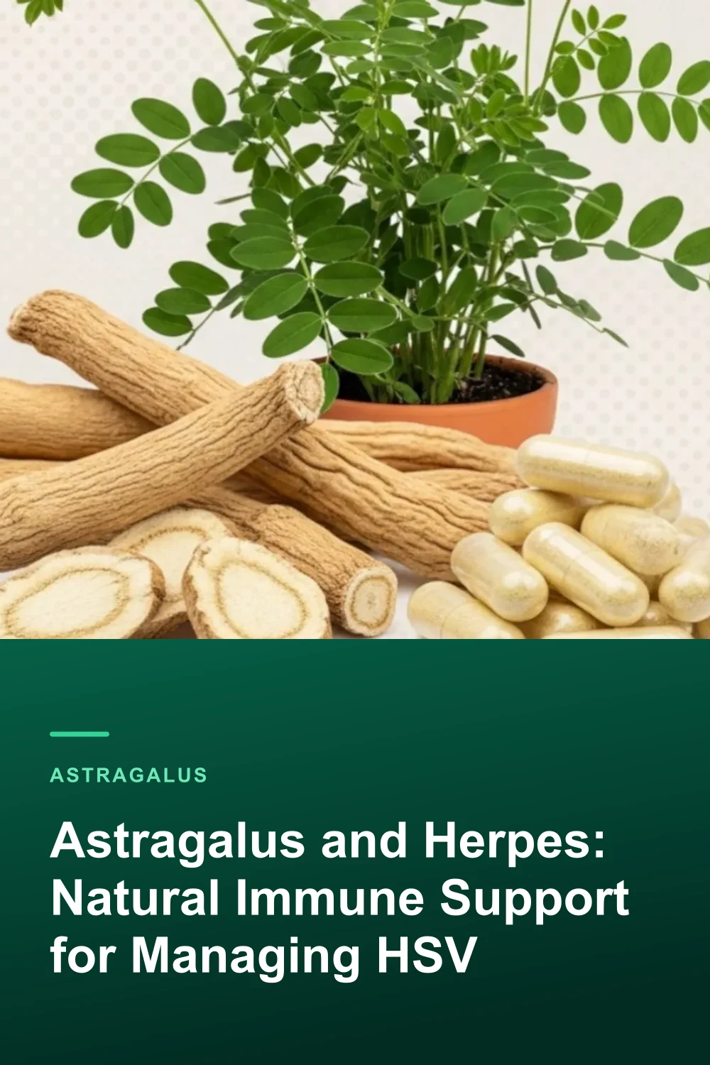 Astragalus and Herpes: Natural Immune Support for Managing HSV
