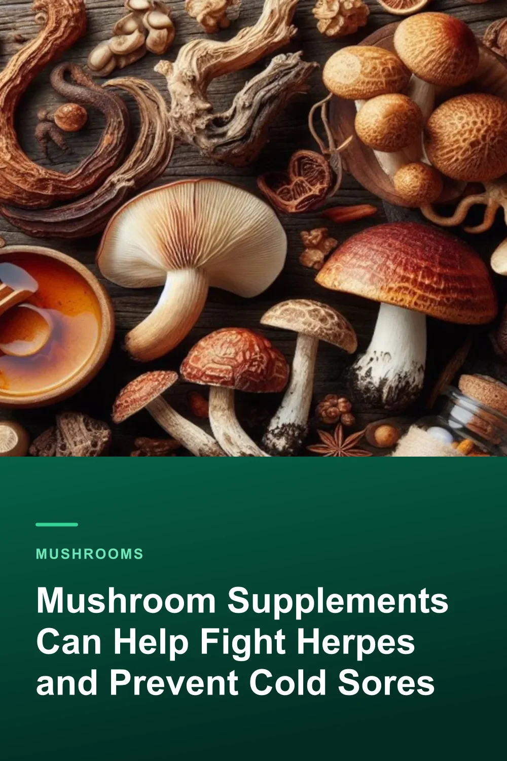Mushroom Supplements Can Help Fight Herpes and Prevent Cold Sores