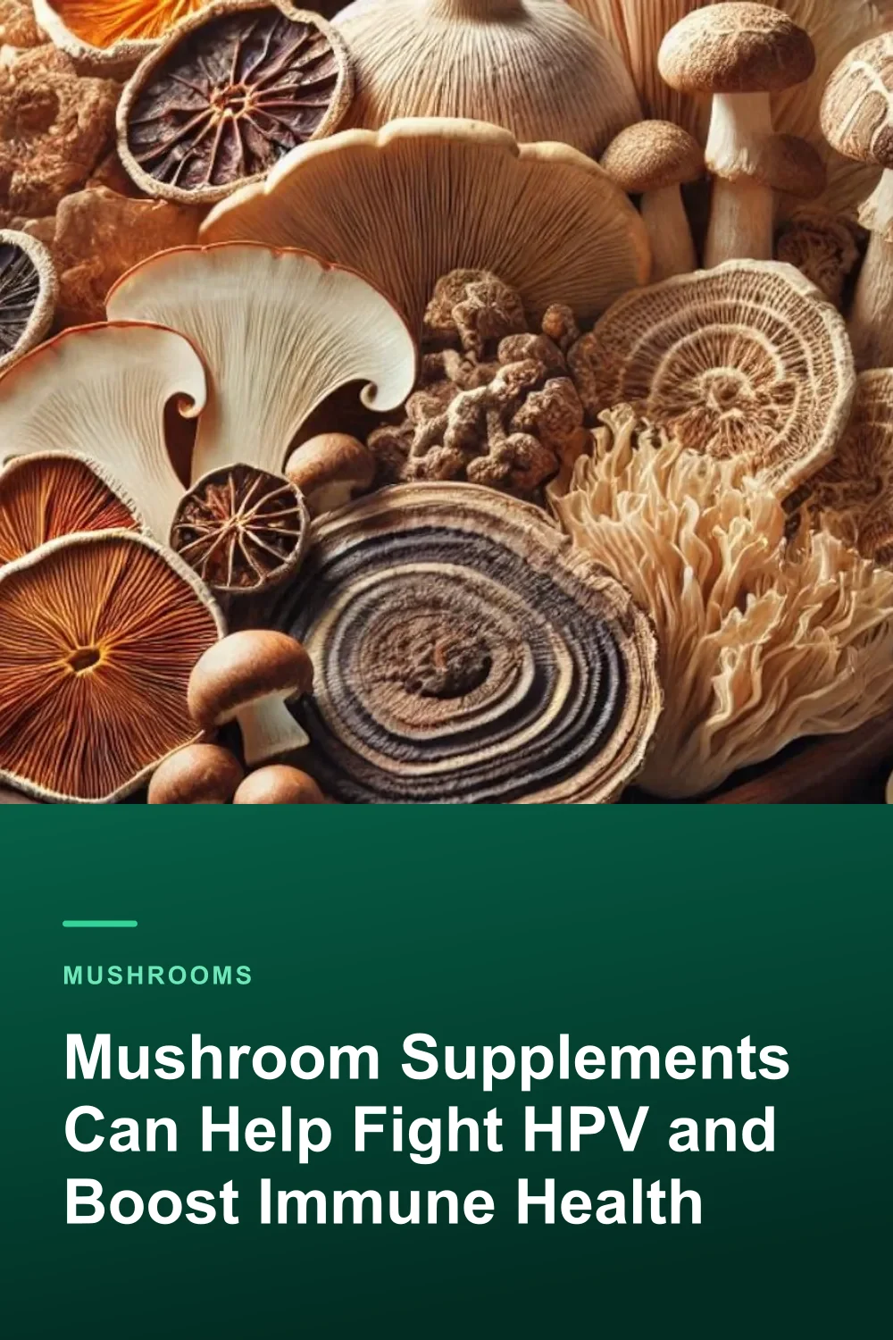 Mushroom Supplements Can Help Fight HPV and Boost Immune Health