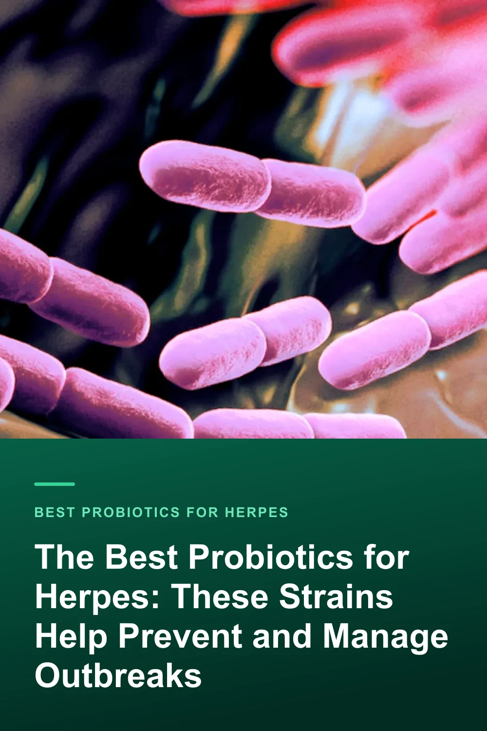 The Best Probiotics for Herpes: These Strains Help Prevent and Manage Outbreaks