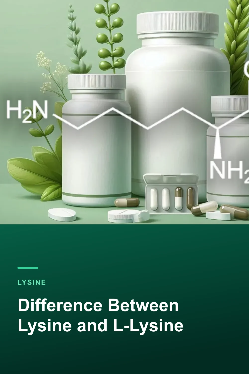 Difference Between Lysine and L-Lysine