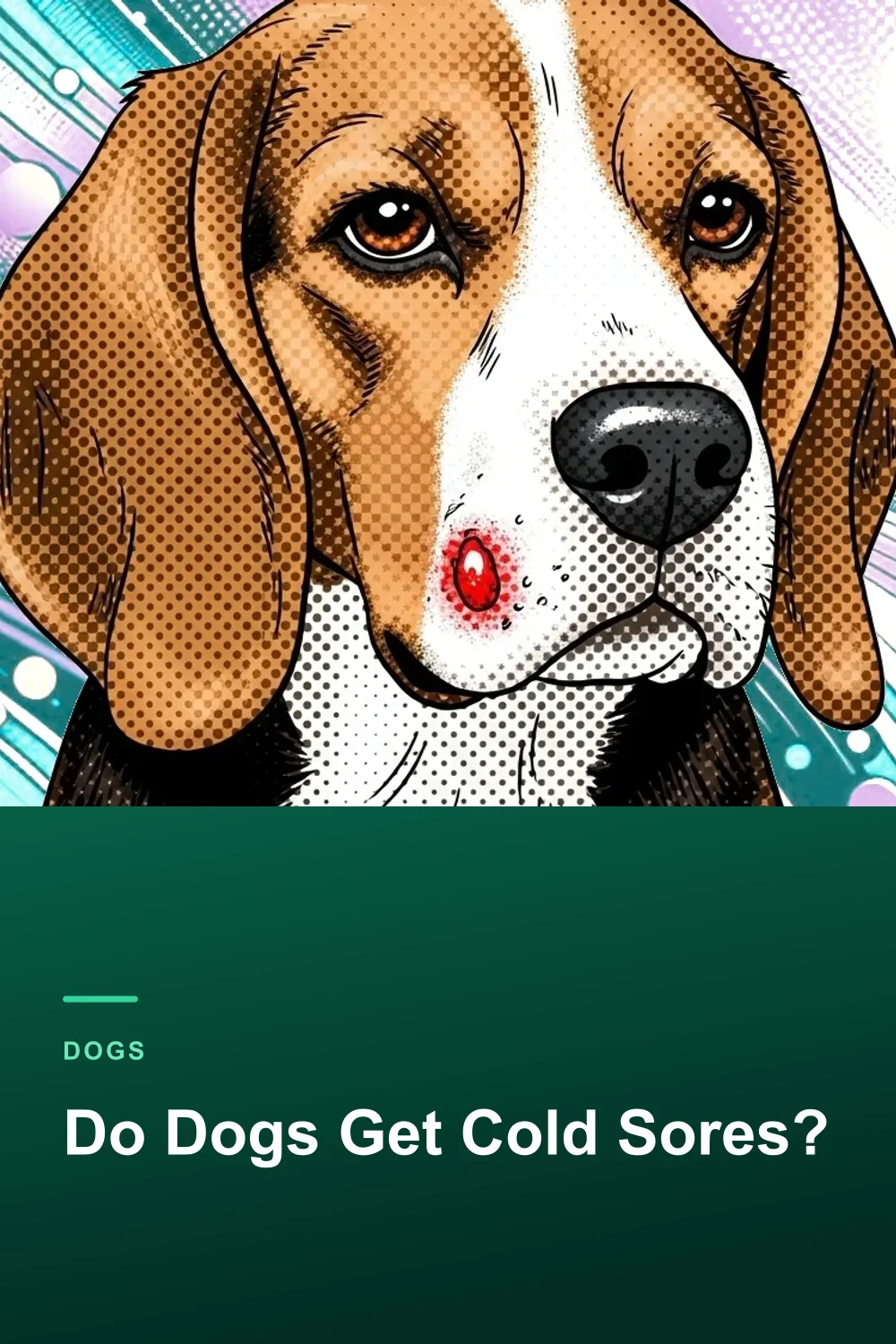 Do Dogs Get Cold Sores?