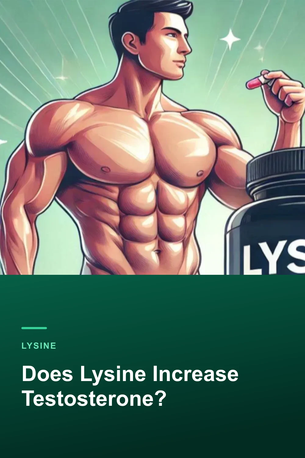 Does Lysine Increase Testosterone?