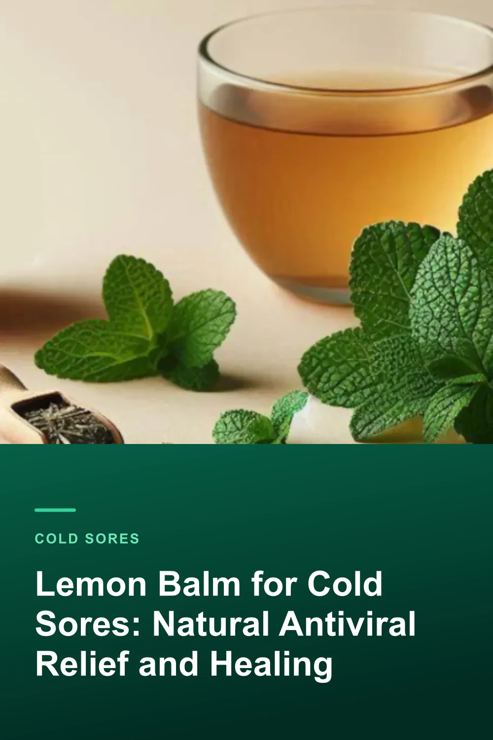 Lemon Balm for Cold Sores: Natural Antiviral Relief and Healing