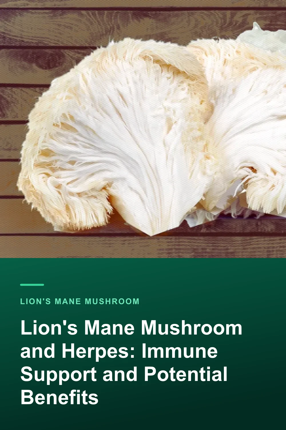Lion's Mane Mushroom and Herpes: Immune Support and Potential Benefits