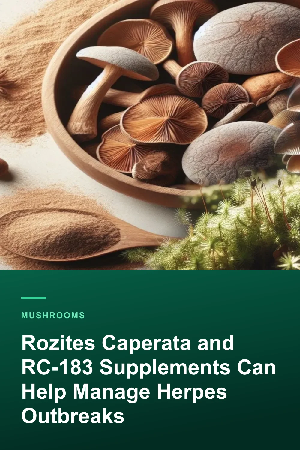 Rozites Caperata and RC-183 Supplements Can Help Manage Herpes Outbreaks