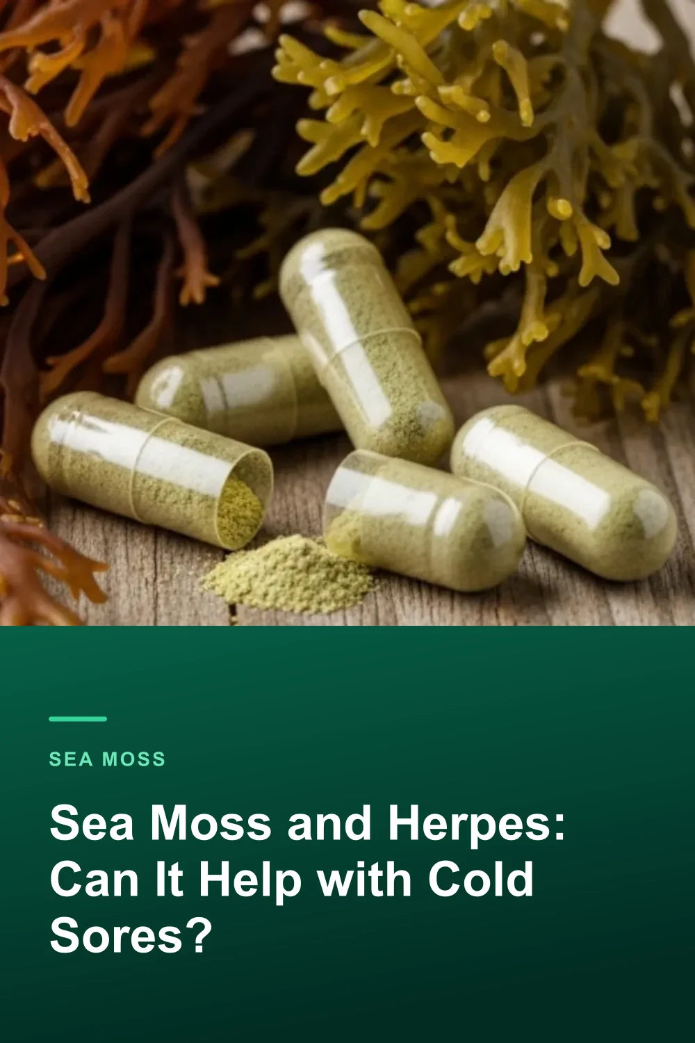 Sea Moss and Herpes: Can It Help with Cold Sores?